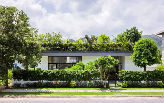 Thêm một công trình đỉnh cao của KTS Võ Trọng Nghĩa: Ngôi nhà với ruộng bậc thang trên mái, ngắm mà phải thốt lên ờ mây zing  