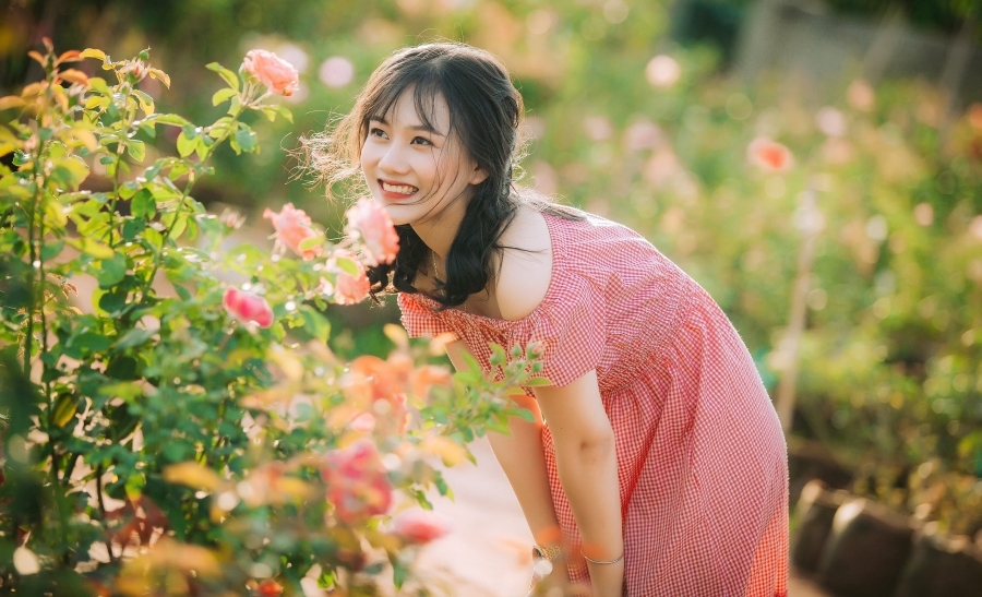 Trang trại hoa hồng rộng 18.000m2, đẹp mê mẩn của chàng trai phố núi